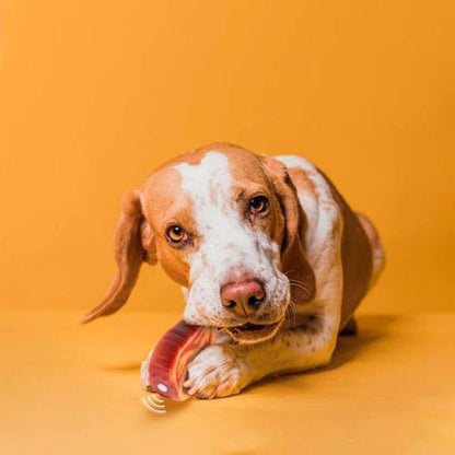 Juguete Mordedor Para Perros Juguetes Para Cachorros Sonido