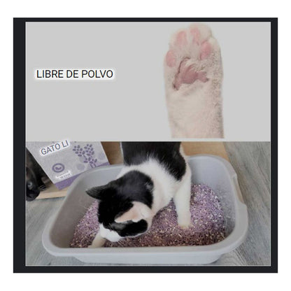 Arena Tofu Arena Sanitaria Arena Aglutinante Tofu 2 Kg