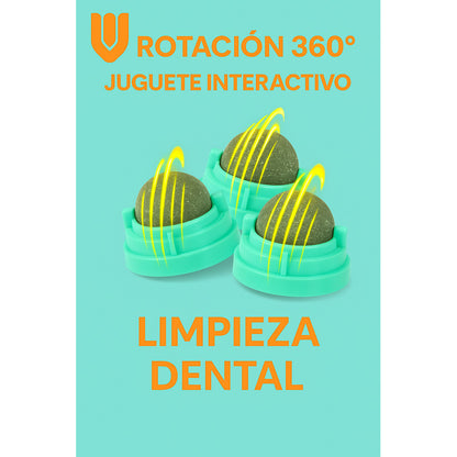 Bola Hierba Gatera Catnip Gatos Bola Snack Catnip Antiestrés