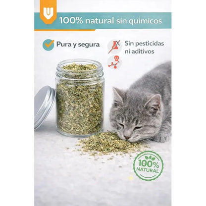 Vitrineon Cl Catnip Organico Felino Estimulante Natural 50g Hierba