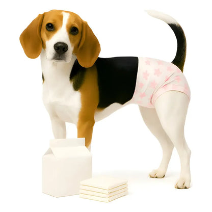X100 Pañales Perros Pañales Desechables Gato Incontinencia S Blanco Hembra S 37 X 28 Cm