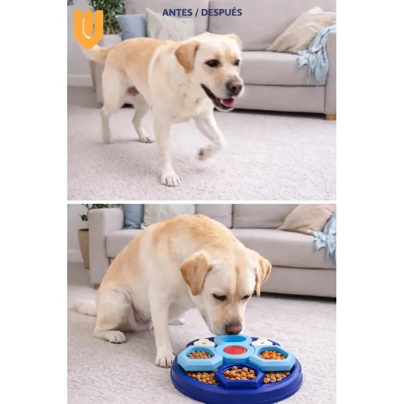 Dispensador Lento Perro Ansioso Plato Interactivo Premio Azul Turquesa Azul Marino Blanco Rojo Multicolor Plato Premio Canino Comedero Lento Interactivo Olfativo Perro Mediano M