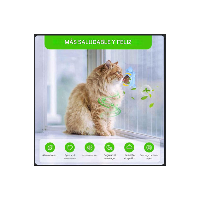 X2 Bola Hierba Gatera Catnip Snack Para Gatos Bola Adhesiva