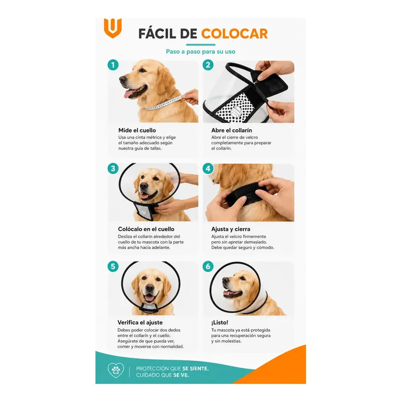 Collar Cono Isabelino Mascotas  Recuperacion Antilamido Collar Isabelino Recuperacion Quirurgica Mascotas Grandes Protector Veterinario Ajustable Premium Talla 2 Grande Mascotas Perros Gatos...