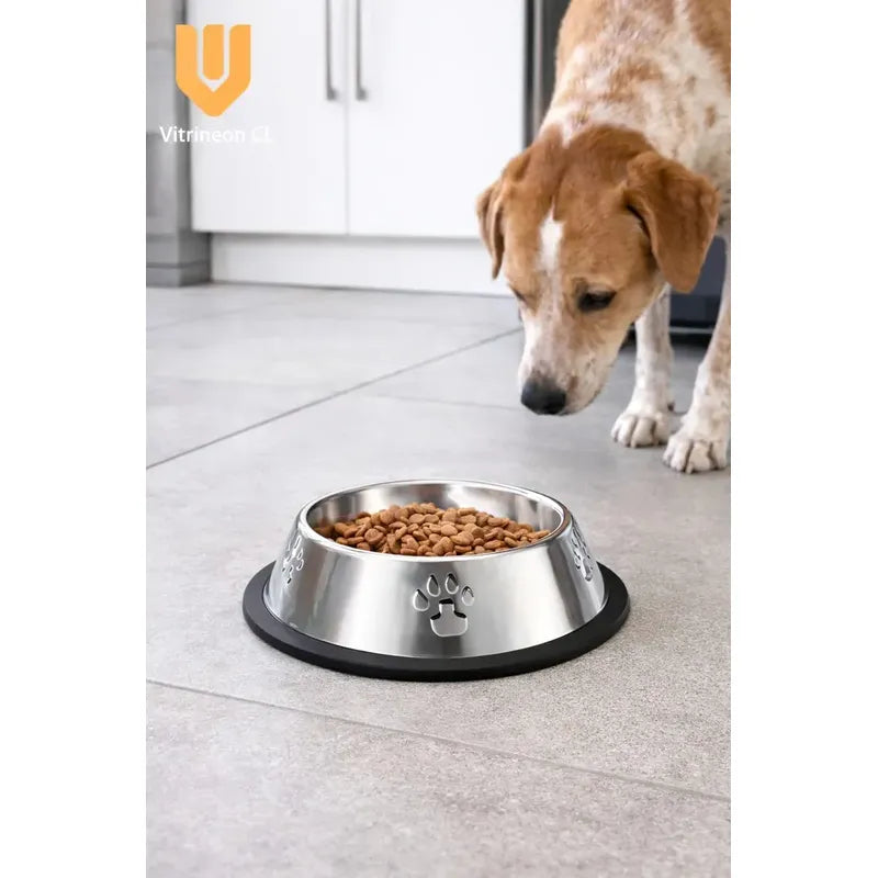 Pack 2 Bowls Metalico Nutricion Mascota Cocina Hogar Durable Metal Plateado Brillo Cocina Hogar Mascotas Decoracion Moderna Estilo Premium