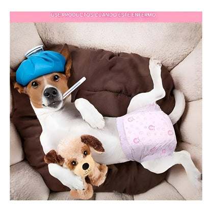 X50 Pañales Para Perros Pañales Para Perro Pañales Gato S