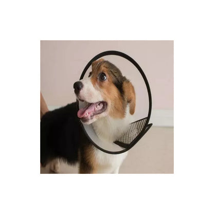 Pack 3 Collar Isabelino Perro Collar Isabelino Gato Perro 5