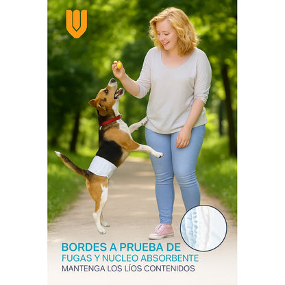 Pañales Desechables Mascotas M 12 Unidades Poliester Macho