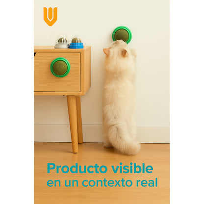 Bola Hierba Gatera Catnip Gatos Bola Snack Catnip Antiestrés