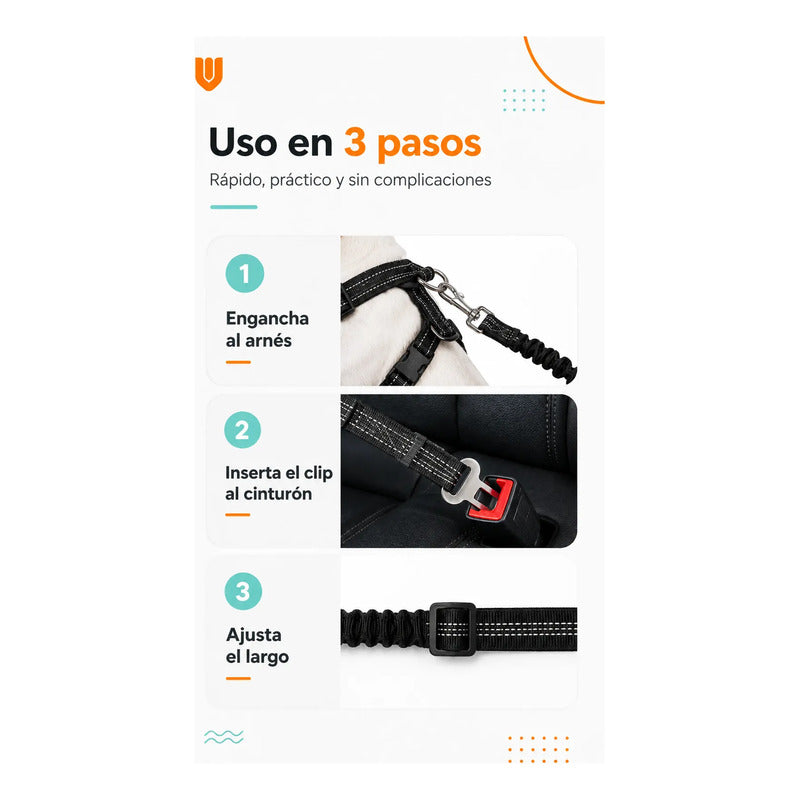 Cinturón De Seguridad Para Perro Gato Correa Elástica Auto  Negro