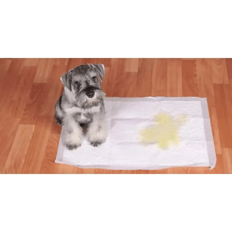 X100 Baño De Perro Sabanilla Perro Paños De Perros 45x60cm Azul
