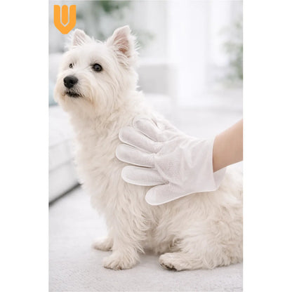 Toallas Desechables Humedas Guante Limpieza Mascota 6 Pieza Toallas Humedas Desechables Guante Limpieza Mascotas Higiene Rapida Suave Humectante Portatil Seis Unidades Cuidado
