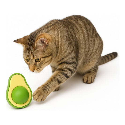 Bola Hierba Gatera Catnip Gatos Bola Snack Catnip Antiestrés Palta