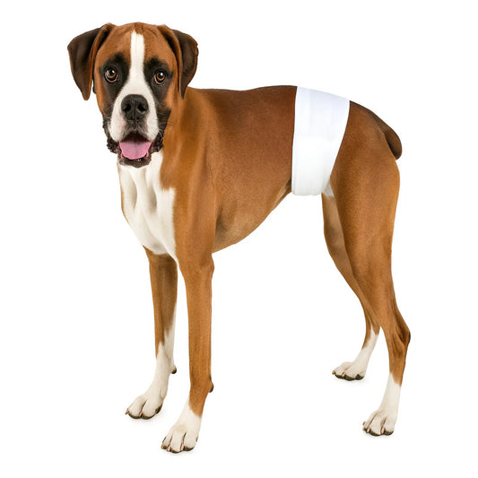 22 Pañales Perro Macho Pañal Faja Hembra Calzon Perro Gato L Blanco Hembra L 52x32cm/macho L 65x20cm