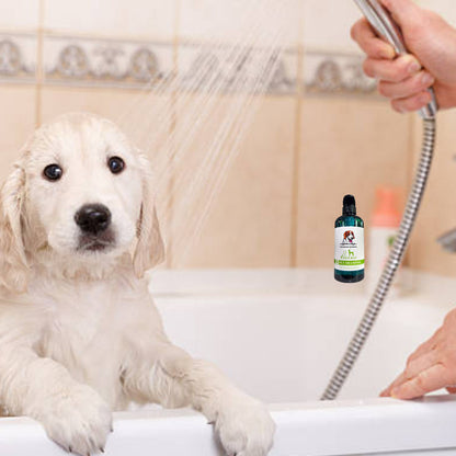 Shampoo Para Perros Y Gato Accesorios Shampoo Perros Gatos