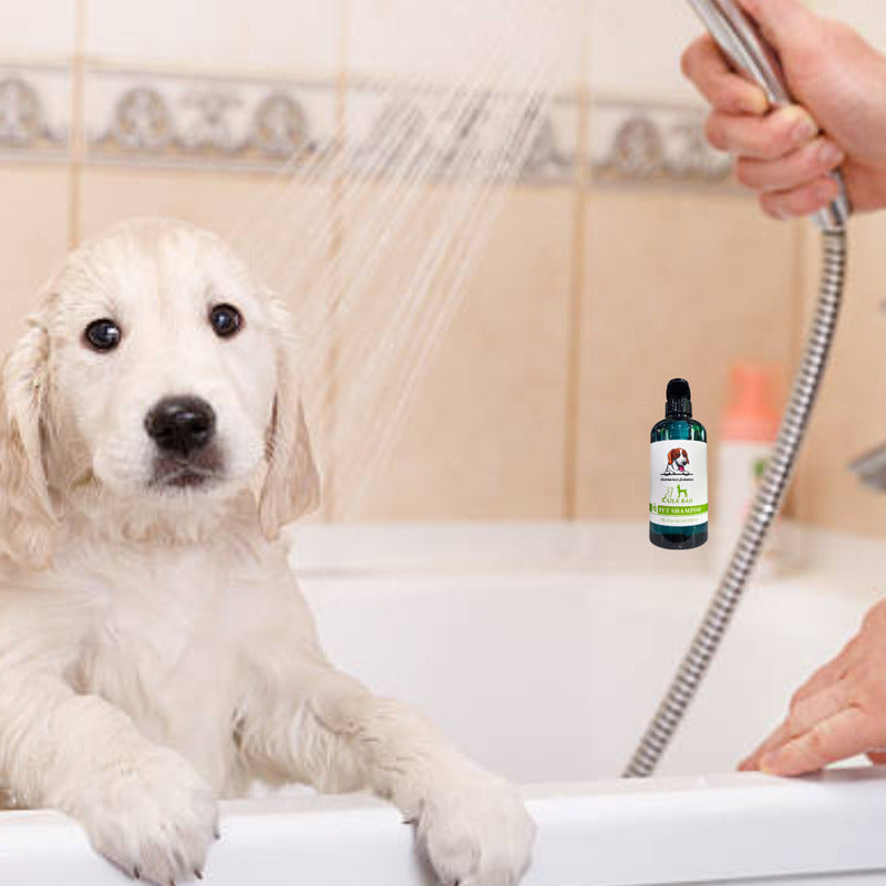 Shampoo Para Perros Y Gato Accesorios Shampoo Perros Gatos Plantas Naturales
