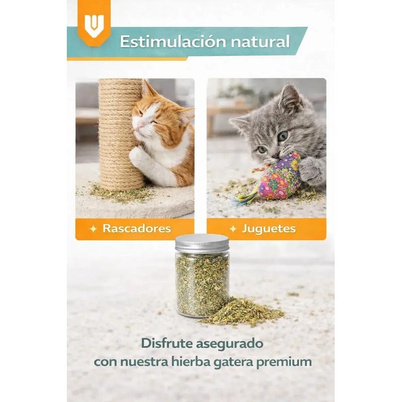 Pack 12 Hierba Aromatica Gatuna Estimulacion Natural Mascota