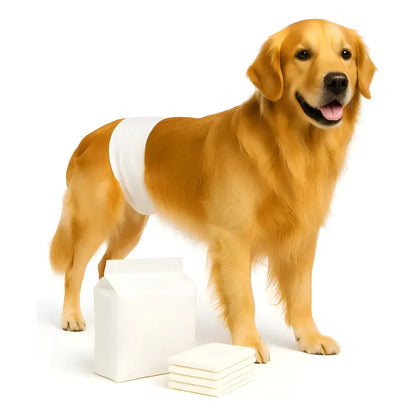 240 Pañales Perros Macho Gatos Desechables Incontinencia M B Blanco Macho M 55 X 20cm