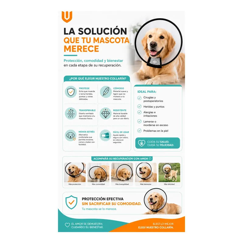 Cono Isabelino Veterinario Canino Felino Postoperatorio Collar Isabelino Recuperacion Quirurgica Mascotas Grandes Protector Veterinario Ajustable Premium Talla 2 Grande Mascotas Perros Gatos...