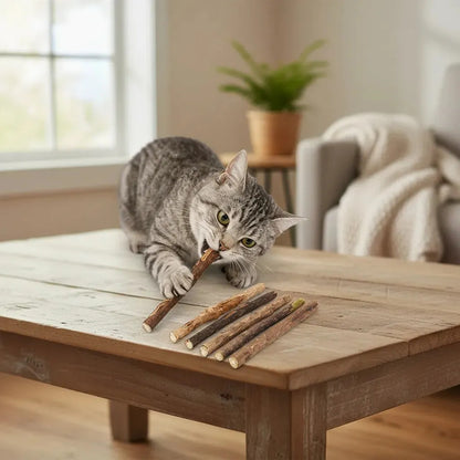 X5 Snack Para Gatos Palitos Hierba Gatera Juguete Yerba Gato Marrón