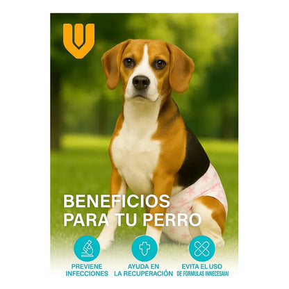 X40 Pañales Perro Hembra Pañal Perro Gato Incontinencia S Blanco Hembra S 37 X 28 Cm