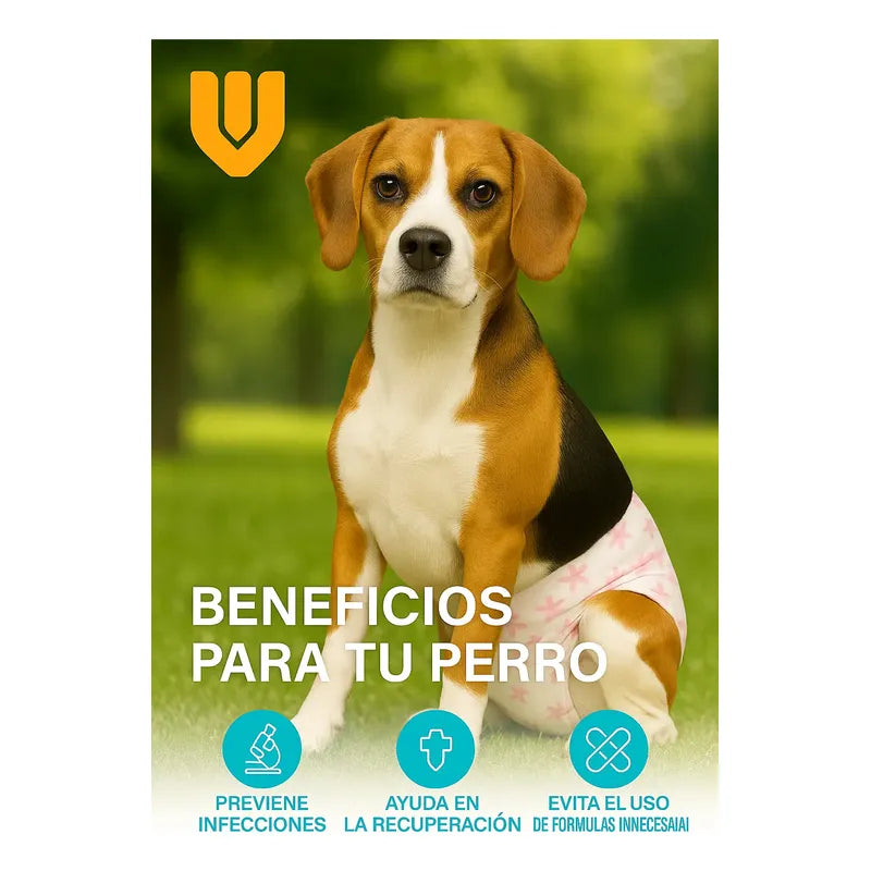 X10 Pañal Perro Panal Gato Pañales Hembra Macho Pañal S Blanco Hembra S 37 X 28 Cm