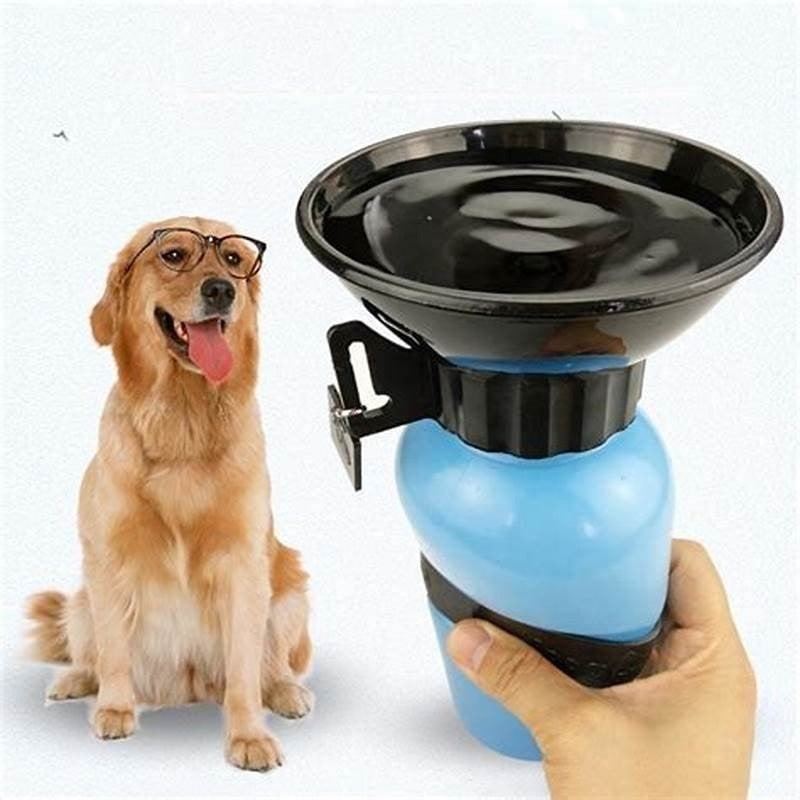 Bebedero Perro Termo Dispensador Agua Perros Portatil 500ml Color Azul