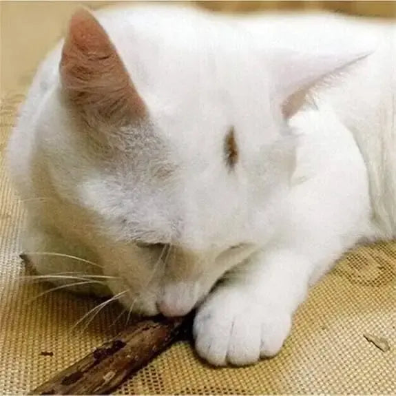 10 Snack Para Gatos Palitos Hierba Gatera Juguete Yerba Gato Marrón