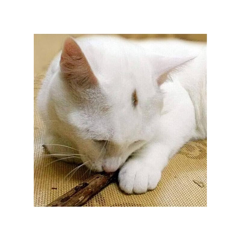 X5 Palitos Hierba Gatera Yerba Gatera Juguete Para Gatos Marrón