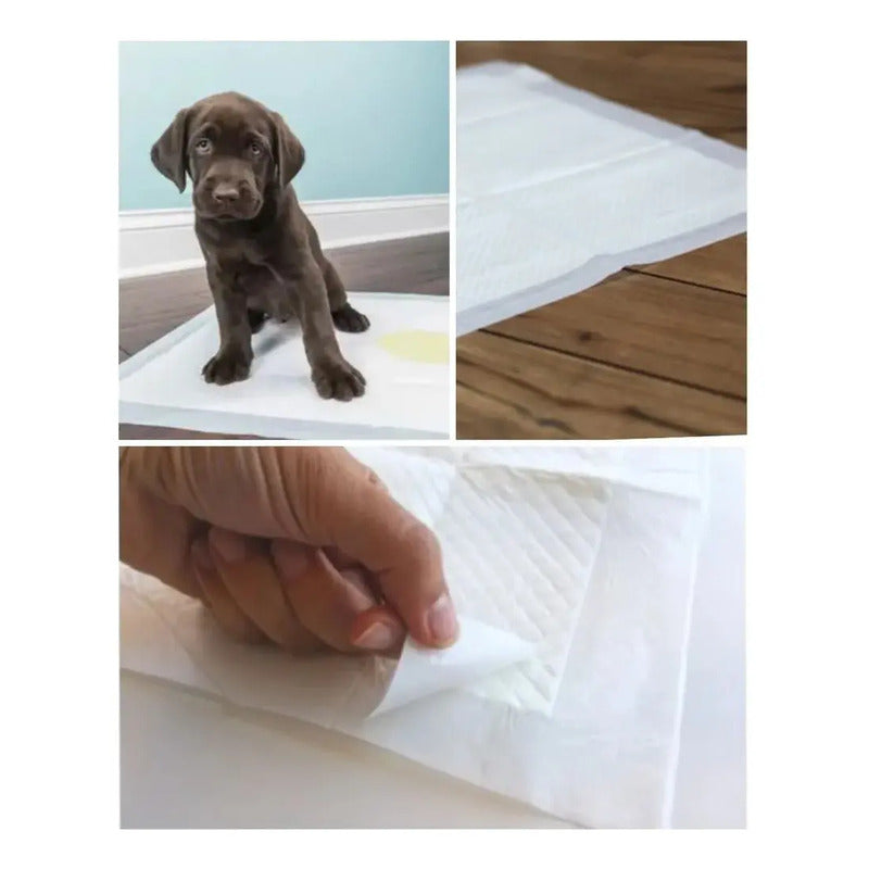 X100 Baño De Perro Sabanilla Perro Paños De Perros 45x60cm Azul