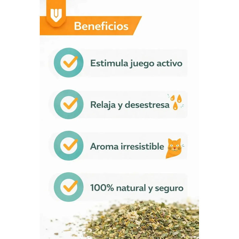 Pack 10 Planta Nepeta Felina Snack Seco Interactivo Hogar