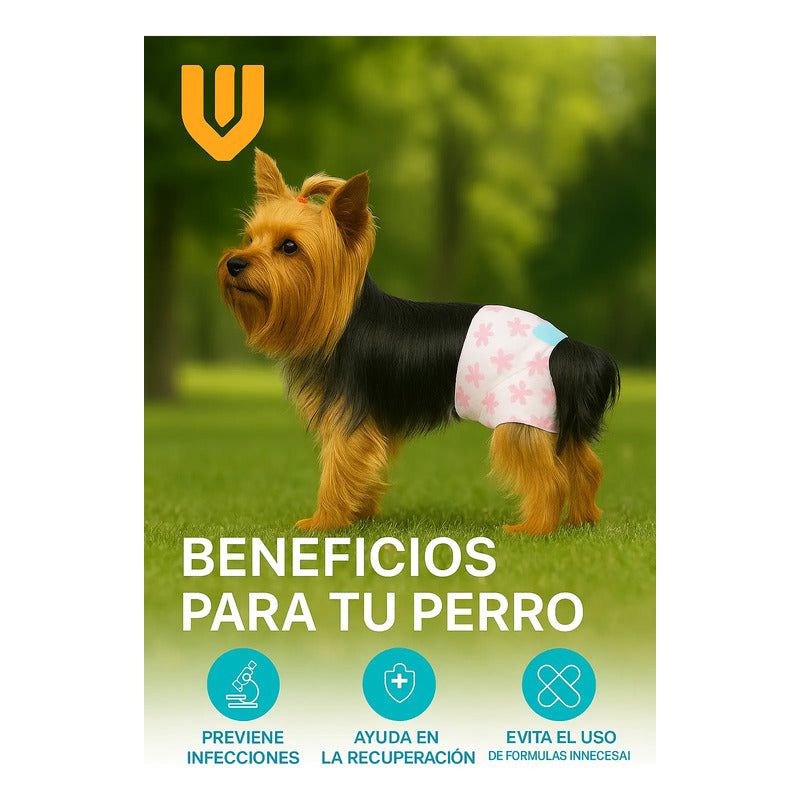 10 Pañales Perro Gato Xs Control Orina Macho Hembra Mascota Blanco Xs