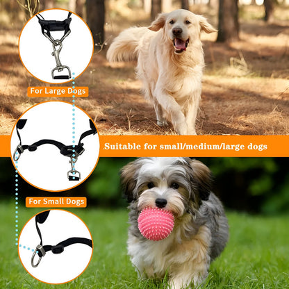 Set Collar De Perro Cinturon Bolso Para Paseo Mascotas