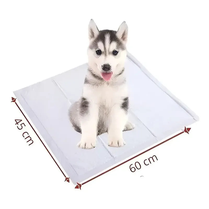 X50 Baño De Perro Sabanilla Perro Paños De Perros 45x60cm