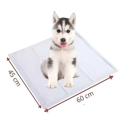 X50 Baño De Perro Sabanilla Perro Paños De Perros 45x60cm