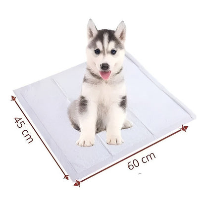 X50 Baño De Perro Sabanilla Perro Paños De Perros 45x60cm