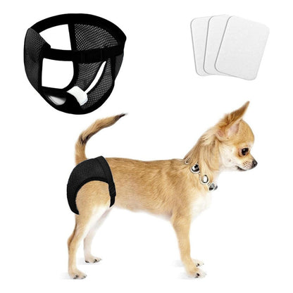 Calzon Perros Celo Calzones Reutilizables 3 Repuestos Pañal