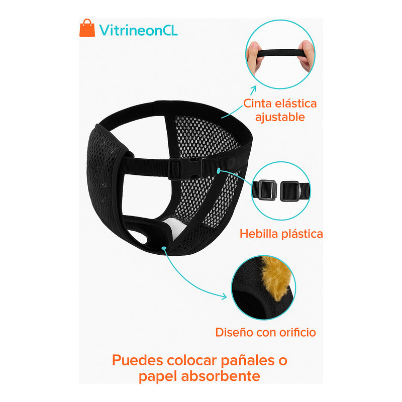 Calzon Perros Celo Calzones Reutilizables 3 Repuestos Pañal