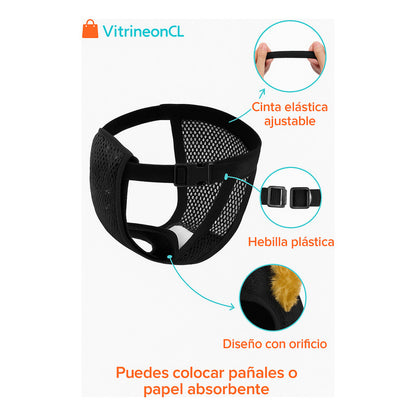 Calzon Perros Celo Calzones Reutilizables 3 Repuestos Pañal
