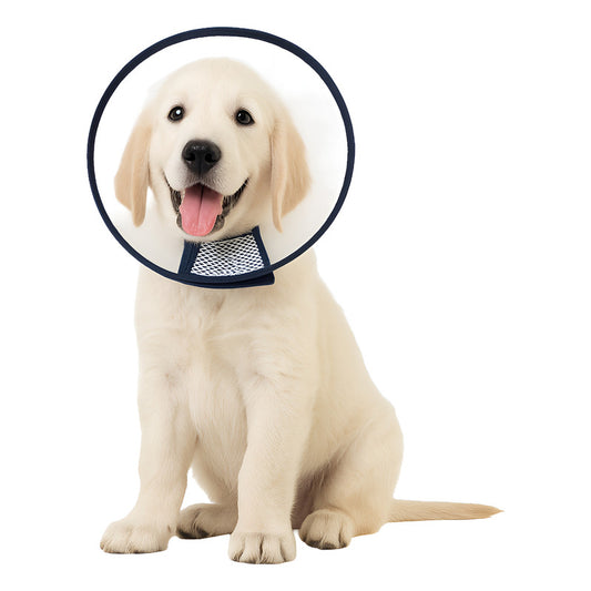 Collar Isabelino Perro Collar Isabelino Gato Collar Perro 3