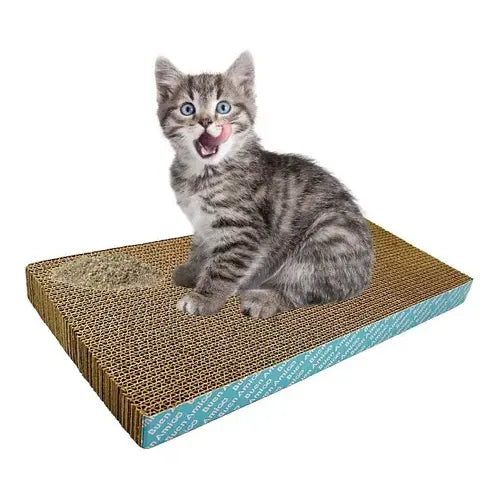 Rascador De Gato Con Catnip De Carton Cosas De Gatos Rascador Carton Corrugado Tus Mascotas Rascador Ola Amarillo
