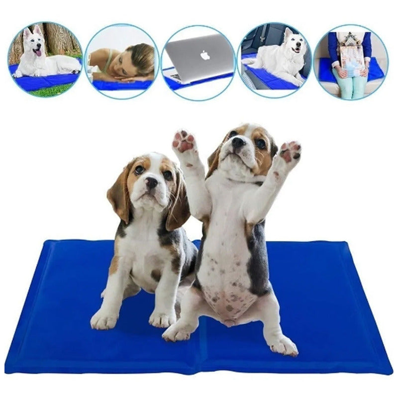 Manta Refrescante Pet Cool Mat Para Mascotas 30x40 Cm Catdog Color Azul