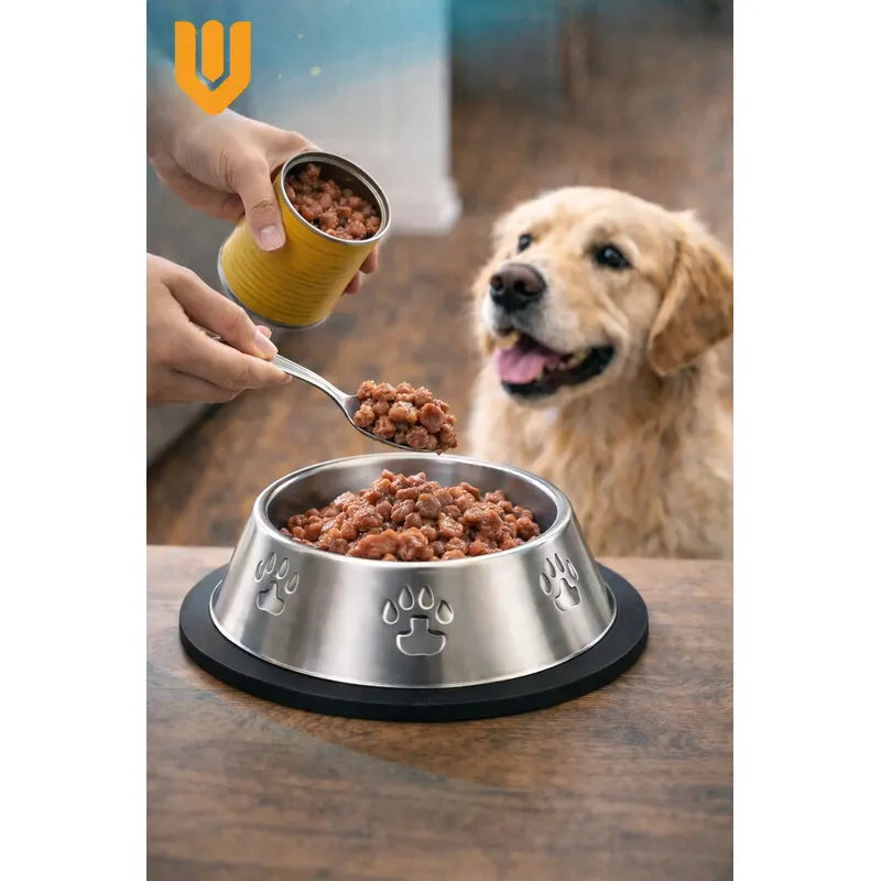 Comedero Perro Platos Para Perros Gatos Mascotas 22cm Plateado