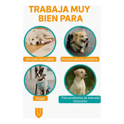 24 Pañales Desechables Perro Gato Incontinencia Ajustable S Blanco Macho S 42x17 Cm