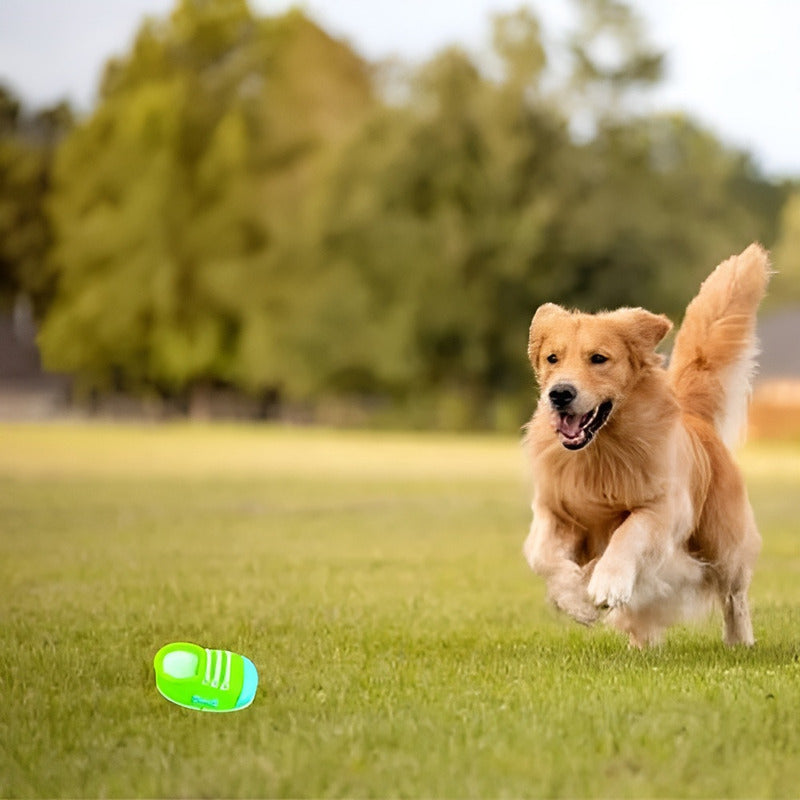 Juguete Mordedor Para Perros Juguetes Para Cachorros Sonido