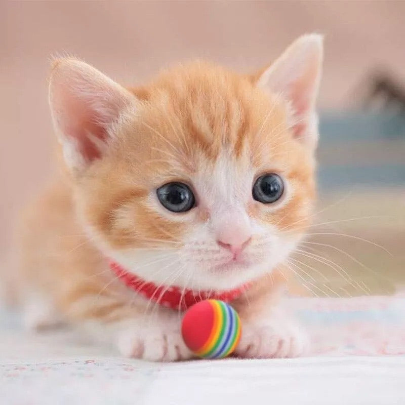 8 Pelotas Para Gatos Juguetes Para Gatos Juegos Para Gatos