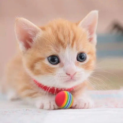 8 Pelotas Para Gatos Juguetes Para Gatos Juegos Para Gatos Multicolor