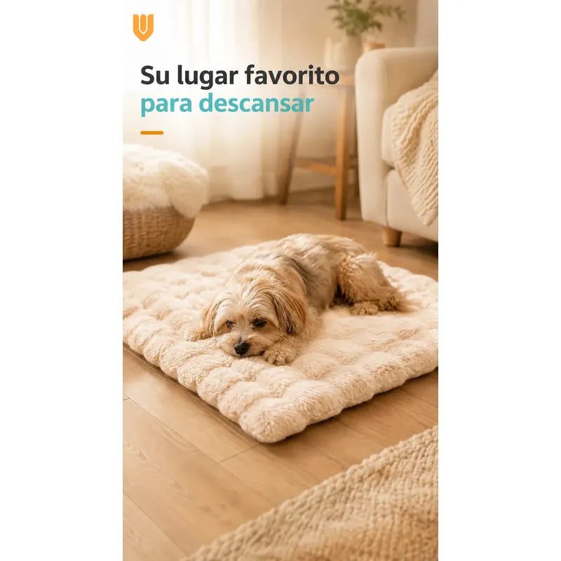 Cama Perros Mascotas Acolchada Lavable Resistente 60x80cm Beigecrema Camas De Perro