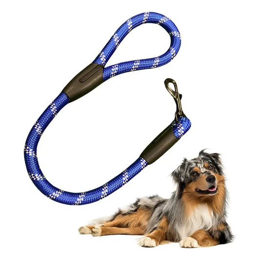 Correa Resistente Para Perro Correa Accesorio De Mascota Azul