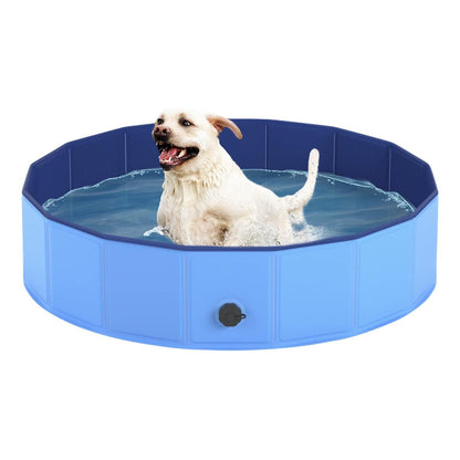 Piscina Para Perros Piscina Plegable Mascotas Perros 120cm